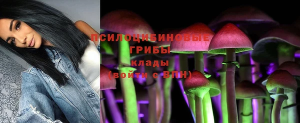 мдпв Михайлов
