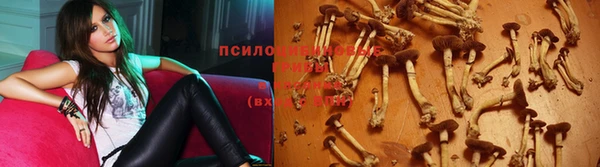 мдпв Михайлов