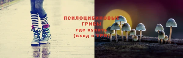 мдпв Михайлов