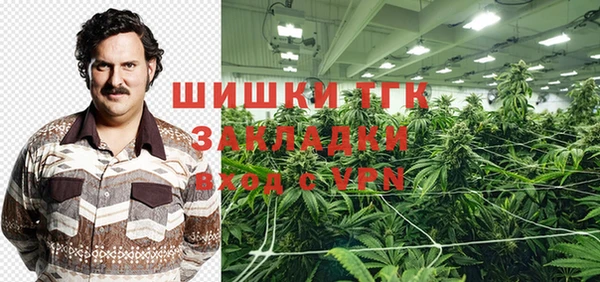 мдпв Михайлов