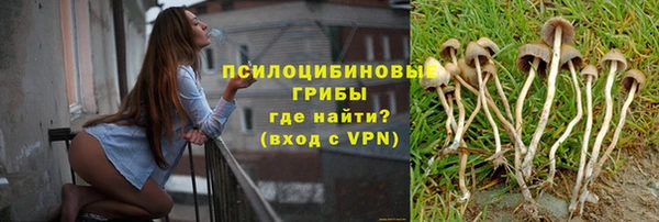 эйфоретик Михайловск