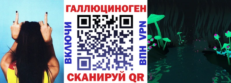 Галлюциногенные грибы Magic Shrooms  продажа наркотиков  МЕГА ссылка  Новокубанск 