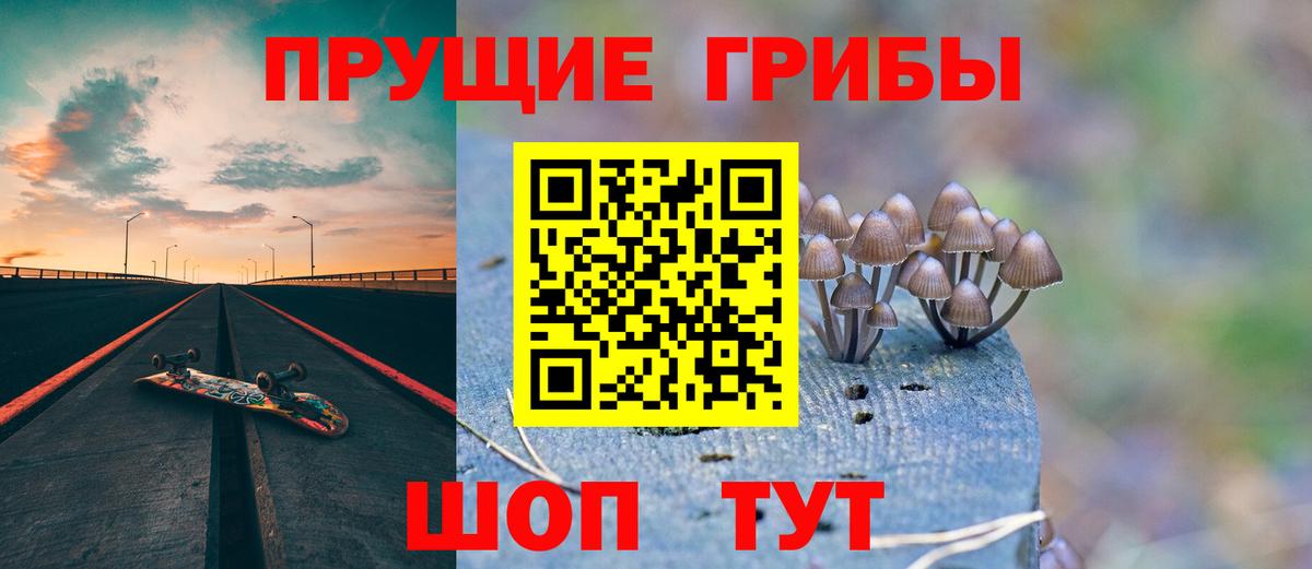 где можно купить наркотик  Вход с VPN  Новокубанск  Галлюциногенные грибы Cubensis  Псилоцибиновые грибы Cubensis 