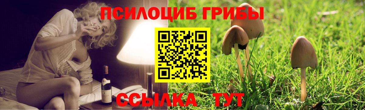 Марихуана  Вход с VPN  MDMA  Новокубанск  Гашиш  A PVP СК   Наркошоп  КОКАИН  МЕФ  